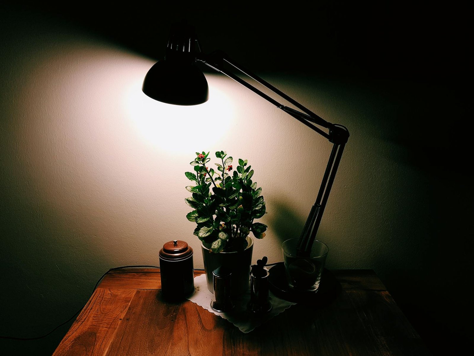 turned on desk lamp over potted plant