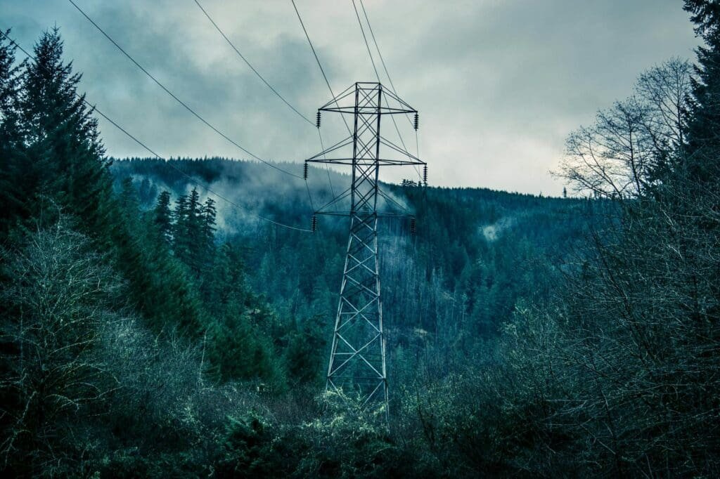 electricity forest power line trees