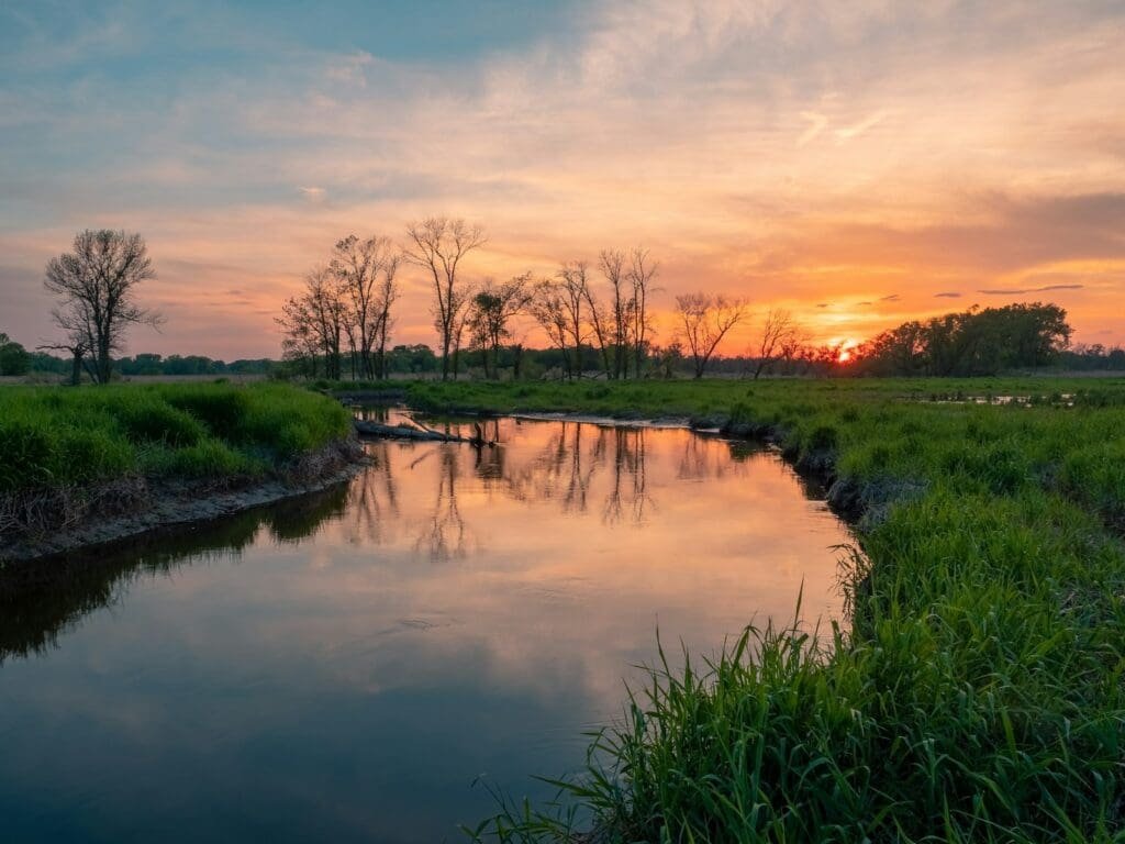 river surrounded by grass